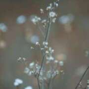 ヒメ日記 2025/11/25 09:37 投稿 早見 HERMINE-エルミネ-