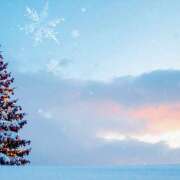 ヒメ日記 2025/12/02 20:31 投稿 早見 HERMINE-エルミネ-