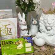 ヒメ日記 2025/12/07 21:35 投稿 早見 HERMINE-エルミネ-