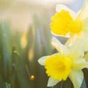 ヒメ日記 2026/01/11 13:48 投稿 早見 HERMINE-エルミネ-