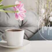 ヒメ日記 2026/01/14 10:04 投稿 早見 HERMINE-エルミネ-