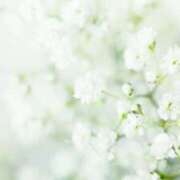 ヒメ日記 2026/01/16 12:26 投稿 早見 HERMINE-エルミネ-