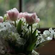 ヒメ日記 2026/01/17 17:14 投稿 早見 HERMINE-エルミネ-