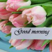 ヒメ日記 2026/01/22 08:40 投稿 早見 HERMINE-エルミネ-