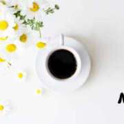 ヒメ日記 2026/01/28 09:17 投稿 早見 HERMINE-エルミネ-