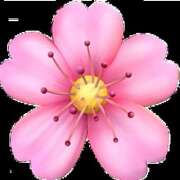 ヒメ日記 2026/02/03 22:17 投稿 早見 HERMINE-エルミネ-