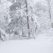 ヒメ日記 2026/02/08 13:52 投稿 早見 HERMINE-エルミネ-