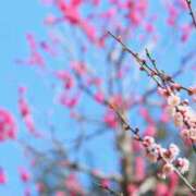 ヒメ日記 2026/02/16 13:23 投稿 早見 HERMINE-エルミネ-