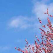 ヒメ日記 2026/02/19 16:56 投稿 早見 HERMINE-エルミネ-