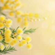 ヒメ日記 2026/02/21 14:53 投稿 早見 HERMINE-エルミネ-