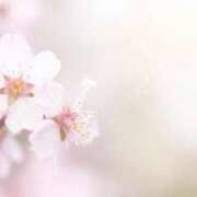 ヒメ日記 2026/02/22 17:28 投稿 早見 HERMINE-エルミネ-