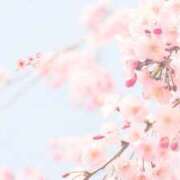 ヒメ日記 2026/03/02 07:17 投稿 早見 HERMINE-エルミネ-