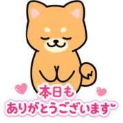 ヒメ日記 2026/03/16 04:39 投稿 早見 HERMINE-エルミネ-