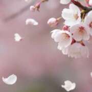 ヒメ日記 2026/03/19 14:21 投稿 早見 HERMINE-エルミネ-