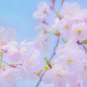 ヒメ日記 2026/03/20 15:24 投稿 早見 HERMINE-エルミネ-