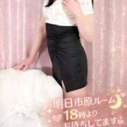 ヒメ日記 2026/03/23 19:01 投稿 早見 HERMINE-エルミネ-