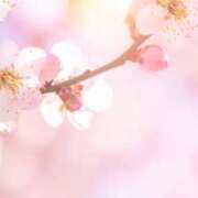 ヒメ日記 2026/03/29 14:52 投稿 早見 HERMINE-エルミネ-