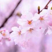 ヒメ日記 2026/03/30 16:09 投稿 早見 HERMINE-エルミネ-