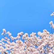 ヒメ日記 2026/04/05 07:59 投稿 早見 HERMINE-エルミネ-