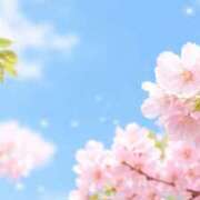 ヒメ日記 2026/04/06 10:00 投稿 早見 HERMINE-エルミネ-