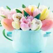 ヒメ日記 2026/04/09 09:46 投稿 早見 HERMINE-エルミネ-