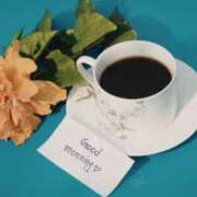 ヒメ日記 2026/04/12 08:00 投稿 早見 HERMINE-エルミネ-