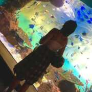 ヒメ日記 2025/09/12 06:03 投稿 ひなた FROZEN(フローズン)