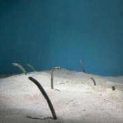 ヒメ日記 2025/09/18 10:34 投稿 ひなた FROZEN(フローズン)