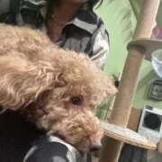 ヒメ日記 2025/09/27 21:13 投稿 ひなた FROZEN(フローズン)