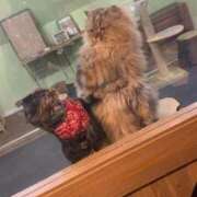 ヒメ日記 2025/10/12 23:19 投稿 ひなた FROZEN(フローズン)