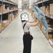 ヒメ日記 2025/11/12 23:33 投稿 ひなた FROZEN(フローズン)