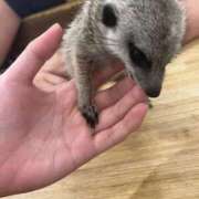 ヒメ日記 2025/11/15 06:03 投稿 ひなた FROZEN(フローズン)