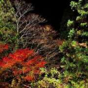 ヒメ日記 2025/11/26 21:13 投稿 ひなた FROZEN(フローズン)