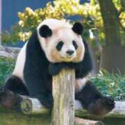 ヒメ日記 2025/12/01 05:53 投稿 ひなた FROZEN(フローズン)