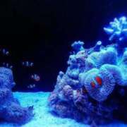 ヒメ日記 2026/01/30 21:13 投稿 ひなた FROZEN(フローズン)