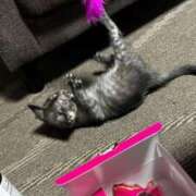 ヒメ日記 2026/01/31 21:03 投稿 ひなた FROZEN(フローズン)