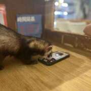 ヒメ日記 2026/02/14 21:08 投稿 ひなた FROZEN(フローズン)