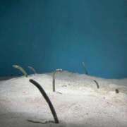 ヒメ日記 2026/03/14 21:13 投稿 ひなた FROZEN(フローズン)