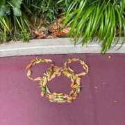 ヒメ日記 2025/10/21 01:45 投稿 みう キャンパスサミット　千葉店