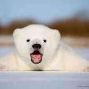 ヒメ日記 2025/07/20 22:48 投稿 かおり ごほうびSPA京都店