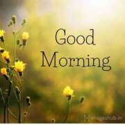 ヒメ日記 2025/07/26 10:36 投稿 米原詩織 五十路マダム愛されたい熟女たち 福山店(カサブランカグループ)