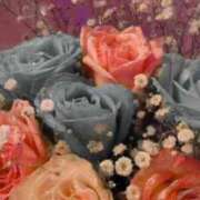 ヒメ日記 2026/01/13 19:16 投稿 ゆら FROZEN(フローズン)