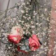 ヒメ日記 2026/01/21 05:43 投稿 ゆら FROZEN(フローズン)