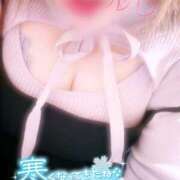 ヒメ日記 2025/11/25 19:29 投稿 るり 大阪和泉ちゃんこ