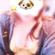 ヒメ日記 2025/12/15 11:09 投稿 るり 大阪和泉ちゃんこ