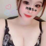 ヒメ日記 2025/07/22 18:51 投稿 らん 一宮稲沢小牧ちゃんこ