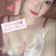 ヒメ日記 2025/07/24 14:34 投稿 らん 一宮稲沢小牧ちゃんこ