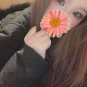 ヒメ日記 2026/01/23 14:54 投稿 らん 一宮稲沢小牧ちゃんこ