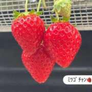ヒメ日記 2026/05/21 01:36 投稿 らん 一宮稲沢小牧ちゃんこ