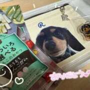 ヒメ日記 2026/04/15 15:27 投稿 かれん DIVAセカンドシーズン土浦店